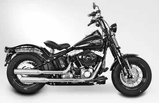 Sale MILLER - 2-2 SlipOn / Harley Softail Cross Bones / silber / HUNTER / EG-BE Billig