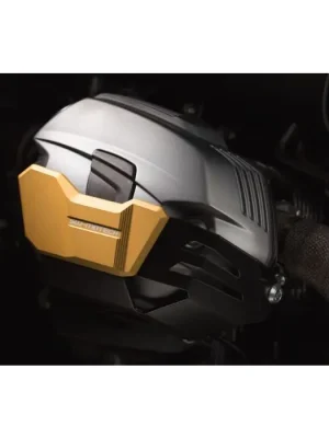 Direktkauf SW-Motech Zylinderschutz Golden passt für BMW R1200 R/GS/Adv, R nineT